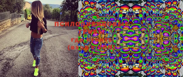 PSILOCYBIN Абаза