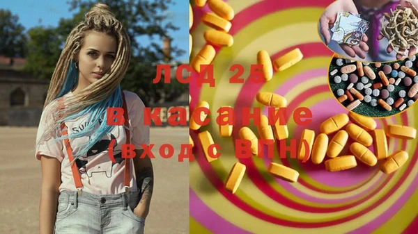 PSILOCYBIN Абаза