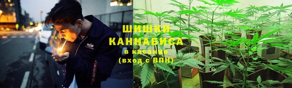 PSILOCYBIN Абаза