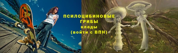 PSILOCYBIN Абаза